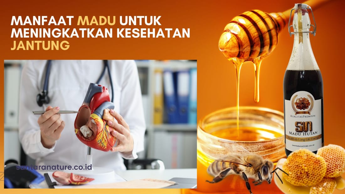 Madu Hidayah: Rahasia Kesehatan Alami di Jantung Cilacap